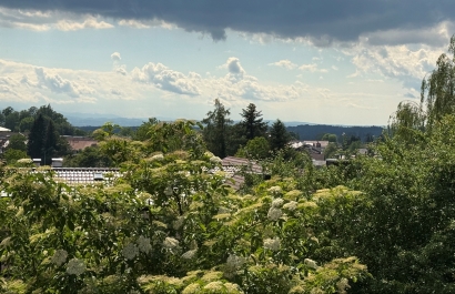 Ausblick_1.jpg